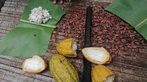 Aburi Botanical Gardens and Cocoa farm - Private Tour