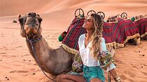 Luxury Camel Ride Around Giza Pyramids with Panoramic view