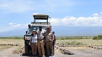 8 Days Safari to Amboseli N/P Tarangire NP Serengeti Ngorongoro Manyara-Midrange