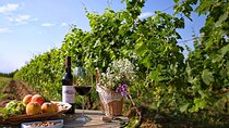 Private Full-Day Vintage Grape Harvest Festival with Lunch
