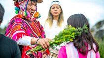 Shamanic Healing Trifecta of Ceremonies with Shamanic Healer (Half Day)