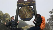 1 Day Kilimanjaro Hiking - Machame Route