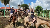 Experience Horse riding with Zipline and Dune Buggy