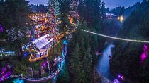 Explore Vancouver City & Capilano Suspension Bridge Canyon Lights