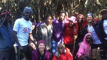 6 Days Marangu Route.