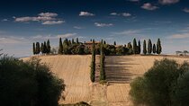 Private Chianti Wine Tour from Florence Half-Day Experience