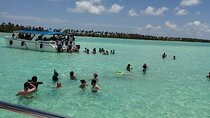 Saona Island Full Day From Punta Cana