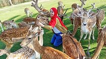 Private Safari Tour To Africano Park Alexandria From Cairo