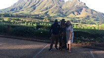 Stellenbosch Small Group Wine Tasting Tour From Cape Town