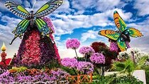 Miracle Garden Dubai Tour With Ticket
