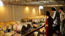 Best of Cape Town Cape Point and Wineries Combined Private Tour