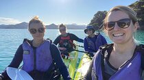 Full-Day Guided Sea Kayak Trip from Picton