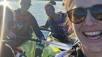 Half-Day Guided Sea Kayak Trip from Picton