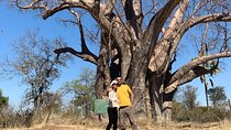 Vic Falls, Hwange, Matopos, Great Zimbabwe, Harare 4Day Tour