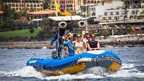 SEA SAFARI Dolphins, Whales, 3h speedboat DISCOVERY-TOUR