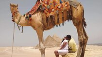 Private Tour Giza pyramids, Sphinx, Egyptian Museum, Camel Ride