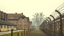 Krakow: Auschwitz-Birkenau Guided Tour & Hotel Pick Up