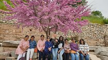 Private Tour: Full-Day Ephesus Highlights from Izmir