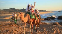 Camel Ride On The Beach at Los Cabos