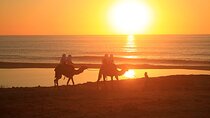 ATV and Camel Ride Combo Adventure in Los Cabos