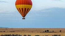 Serengeti & Ngorongoro 3 Days Budget Safari