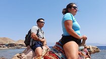 Blue Hole,Camel Ride And Snorkeling Private Tour In Dahab From Sharm El Sheikh
