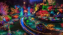 Victoria Sightseeing & Butchart Gardens Holiday Lights Tour