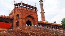 Half-Day Private Walking Tour of Old Delhi 