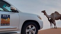 Dubai Desert Safari With Sandboarding & Camel Riding 
