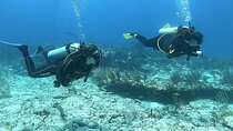 2 Tank Reef Dive in Mexico
