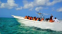 Private Guided Tour from Bávaro to Isla Saona by Speedboat minimum 12 pax