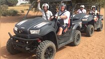 Agadir Buggy safari tour 