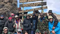 Kilimanjaro 7 Day Private Trekking Experience