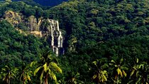 Mikumi National Park & Udzungwa Water Falls 3 Days Group Tour