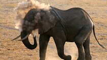 Amboseli National Park Private Day Tour