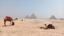 Full Day Tour to Explore Giza pyramids , Sakkara , Sphinx and Memphis