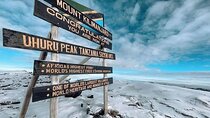 Climbing Kilimanjaro - 9 Day Northern Circuit