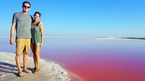 Discover a Pink Lagoon in The Coloradas with Transportation from Cancún