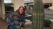 Fun City Scavenger Hunt in Chandler by Operation City Quest