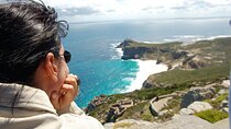 Private Cape of Good Hope and Penguins Tour with Luxury Mercedes or BMW Vehicle