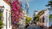 Full-day Santo Domingo Tour with Roundtrip Transfer from Airport to Hotel