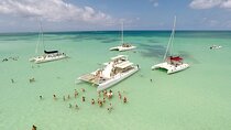 Isla Saona Half-Day Tour from Uvero Alto with Snorkeling