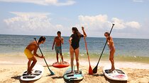 Stand-Up Paddle boarding in Tulum with Snorkeling 1hr