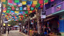 Private Tour, Sayulita & San Pancho