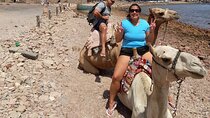 Private Full Day Snorkeling, Camel Ride Tour In Dahab From Sharm El Sheikh 