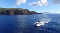 Eco-Raft Tour: Maui-Lanai Snorkel / Dolphin Watch (Semi-Private)