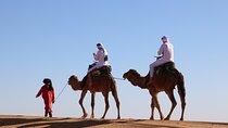 Private Desert Tour To Draa Valley And Zagora From Marrakech