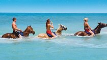 Horseback Ride and Swim Private Tour from Montego Bay