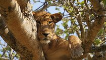3 days Queen Elizabeth National park tour