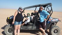 Quad Bike Safari ;Private guided ;Discover the Bedouin life